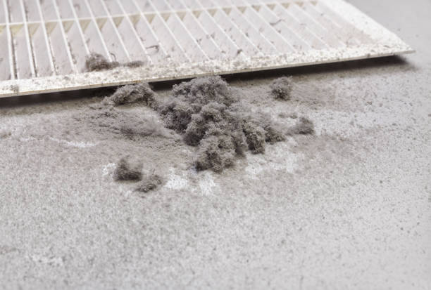 Best HVAC Air Duct Cleaning  in Guin, AL